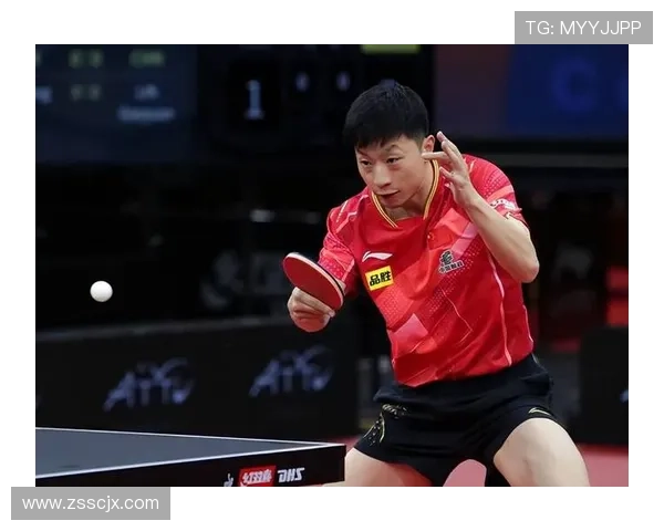 乒乓球生涯的回忆与思考黄磊与我对话的精彩瞬间