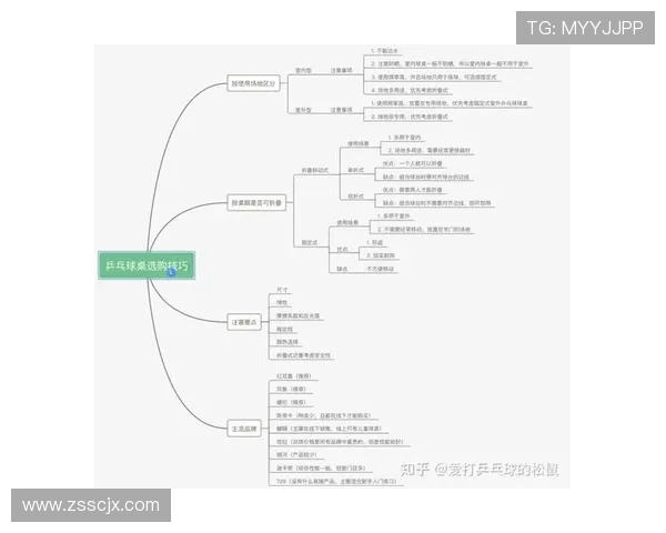 乒乓球战术探讨：西安乒乓球队独特节奏体系的形成与应用分析