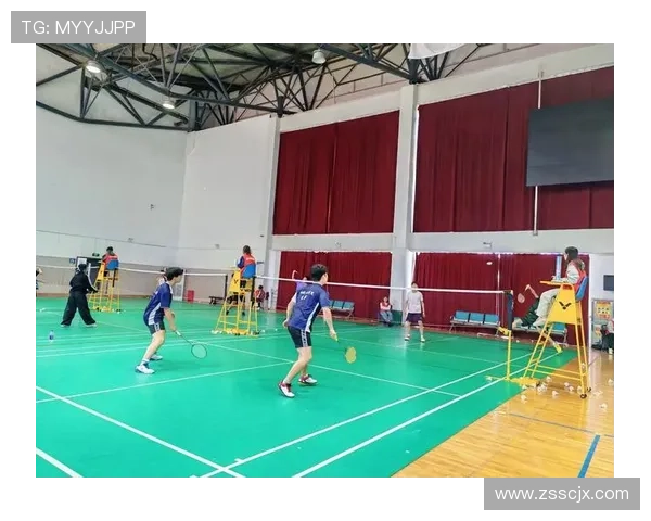 羽毛球团队协作实力榜单揭晓成都羽毛球队荣获第五名殊荣