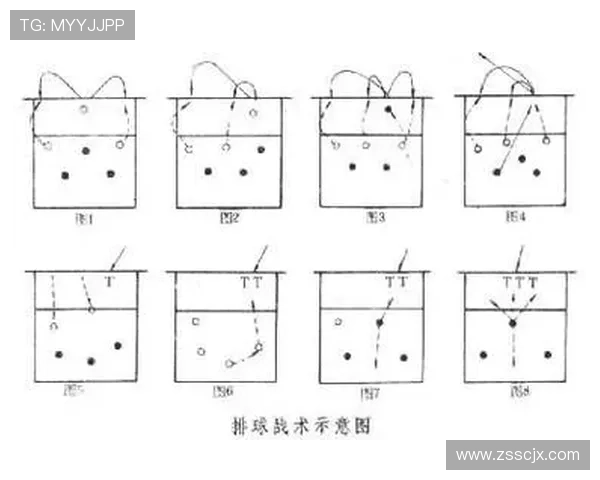 独家深度解析上海排球队不同速度对比及其战术影响分析